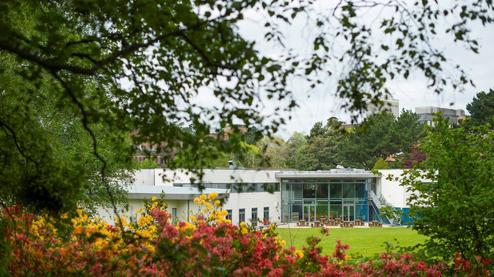 جامعة إكستر