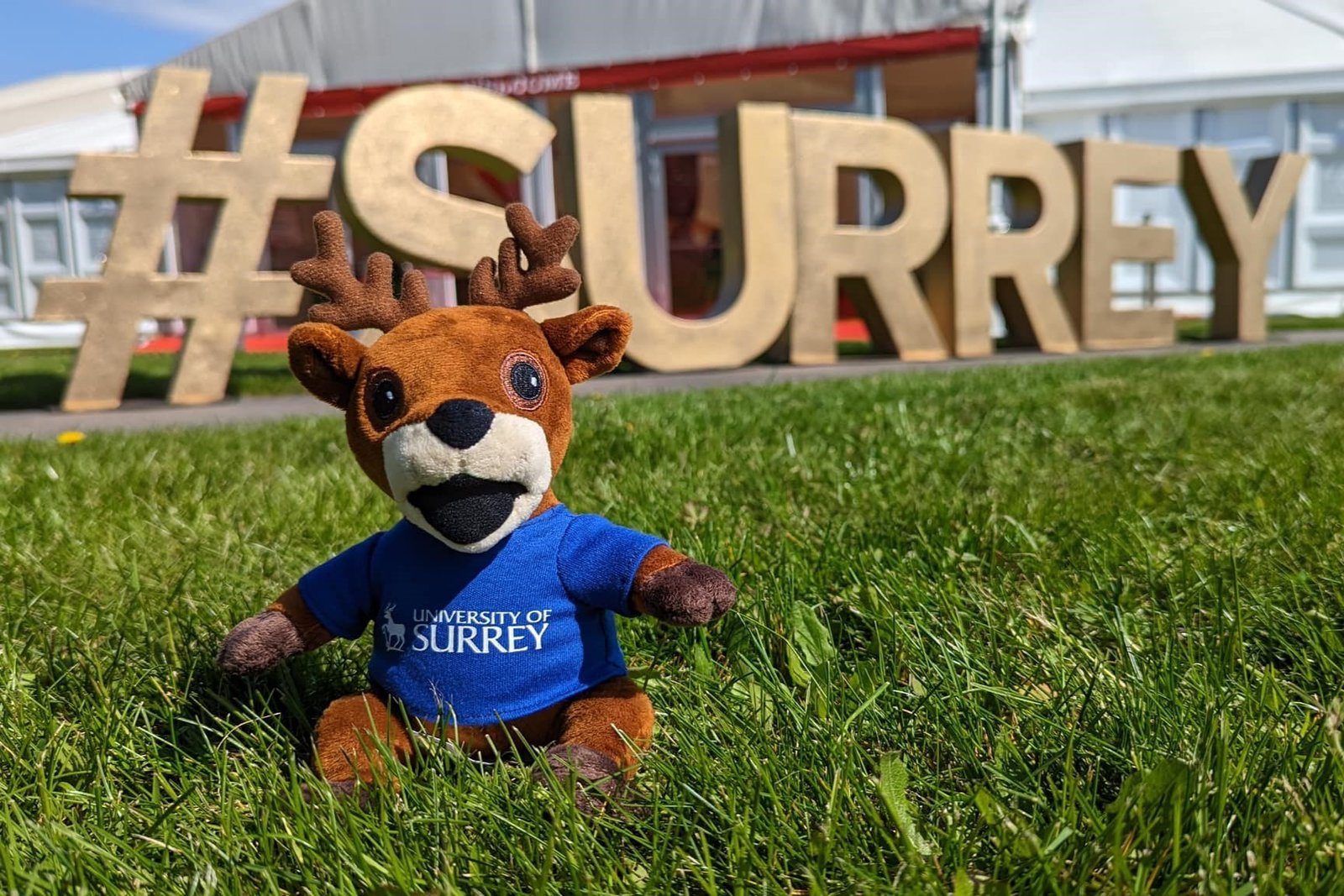 University of Surrey