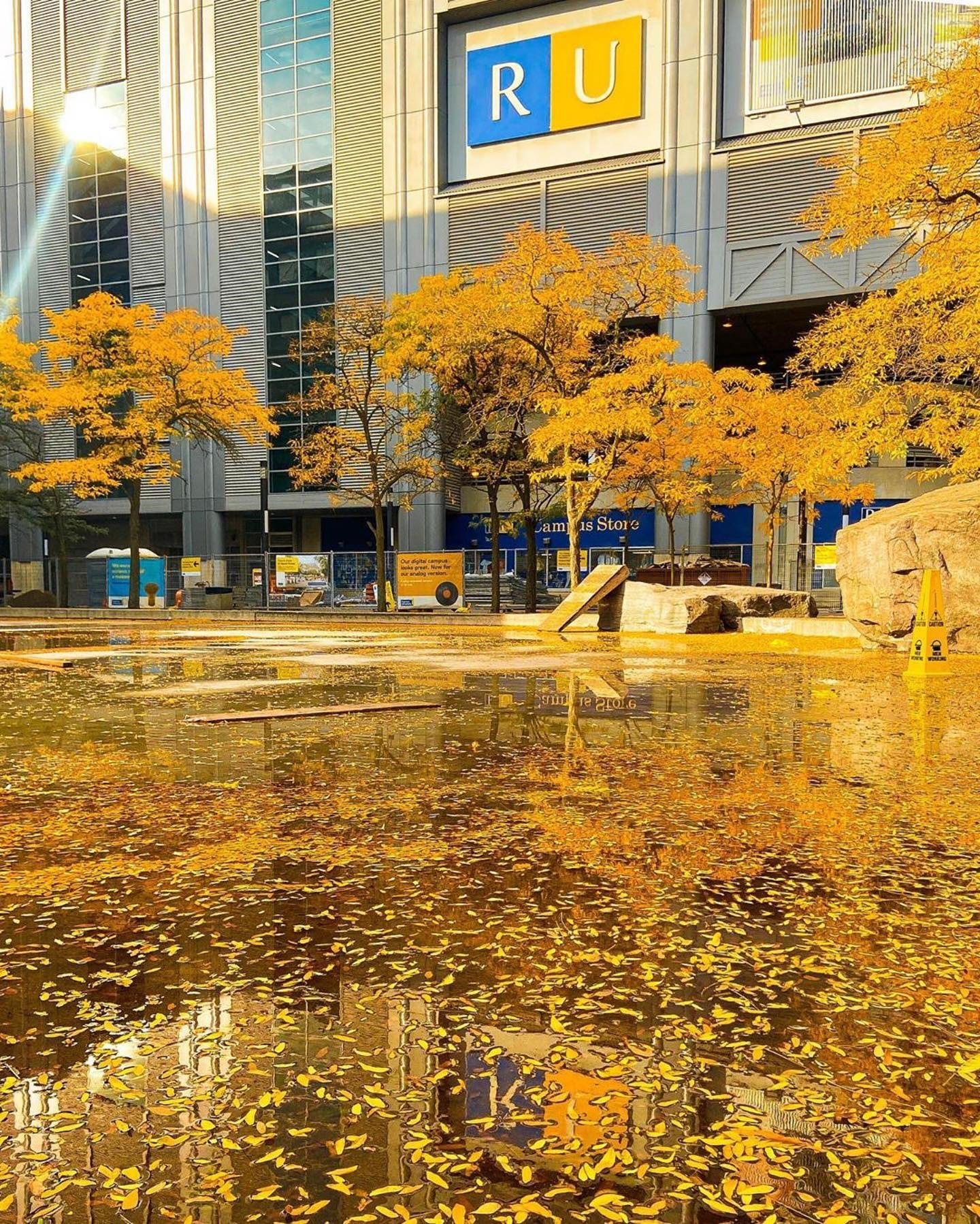 Toronto Metropolitan University
