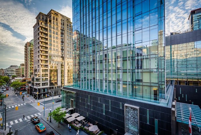 International Business University