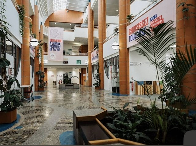 مدرسة تولوز للأعمال